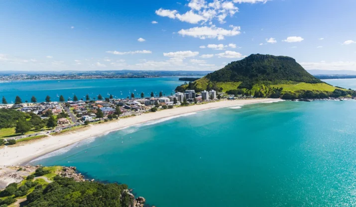 Best coastal suburbs in nz