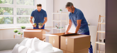 packers and movers