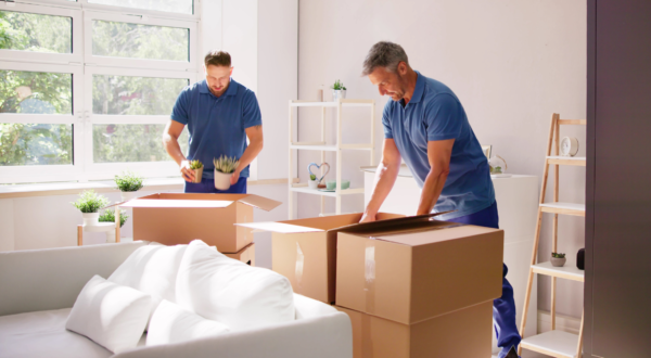 packers and movers