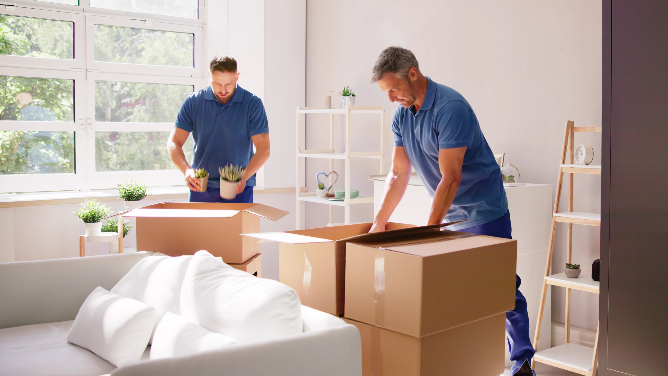 packers and movers