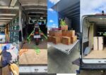 Movers Auckland